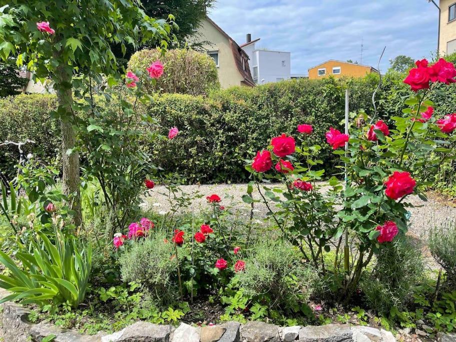 Fewo Apartment Lake Of Constance FDH Exterior foto